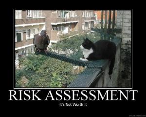 RiskAssessment