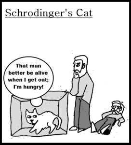 Schrodingers-cat