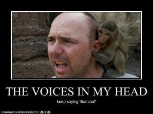 funny-pictures-the-voices-in-my-head